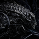 Illustration for article titled Alien Mating Strategies That Would Probably Result in Extinction